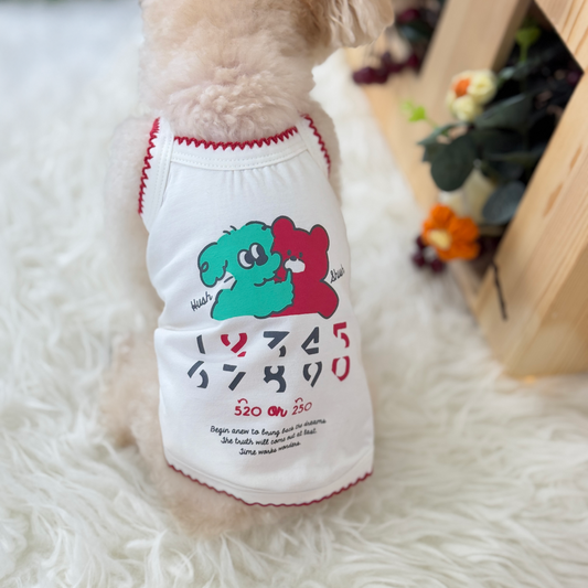 520 Chingu Top (White)