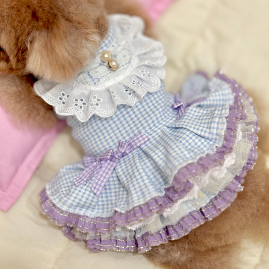 French Blue Cottage Dress