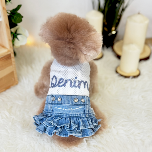 Washed Denim Blue Skirt Two-Piece Set