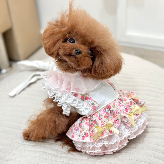La Fraise Pinafore