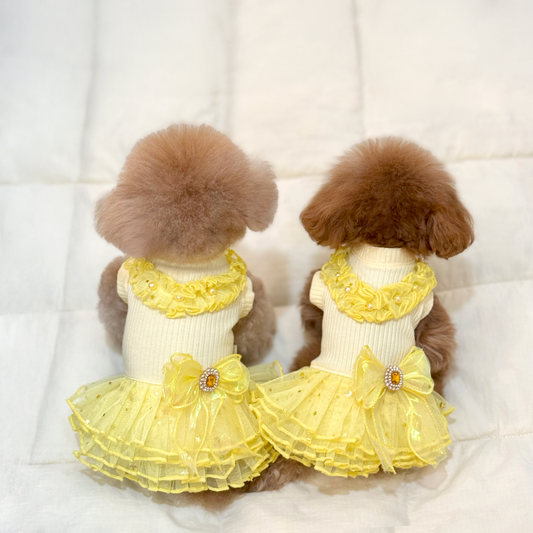 La Belle Lumière Tutu