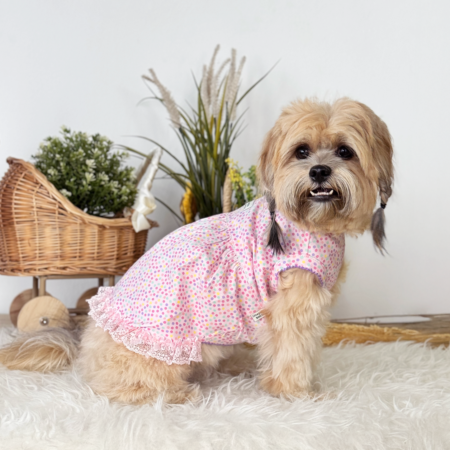 Rainbow Sprinkle Couple Wear