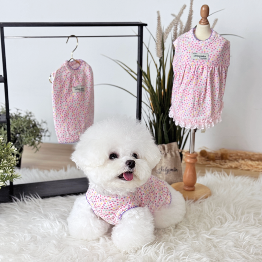 Rainbow Sprinkle Couple Wear