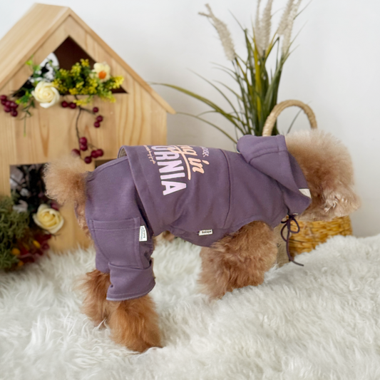 Cali Hoodie Pants Two-Piece Set