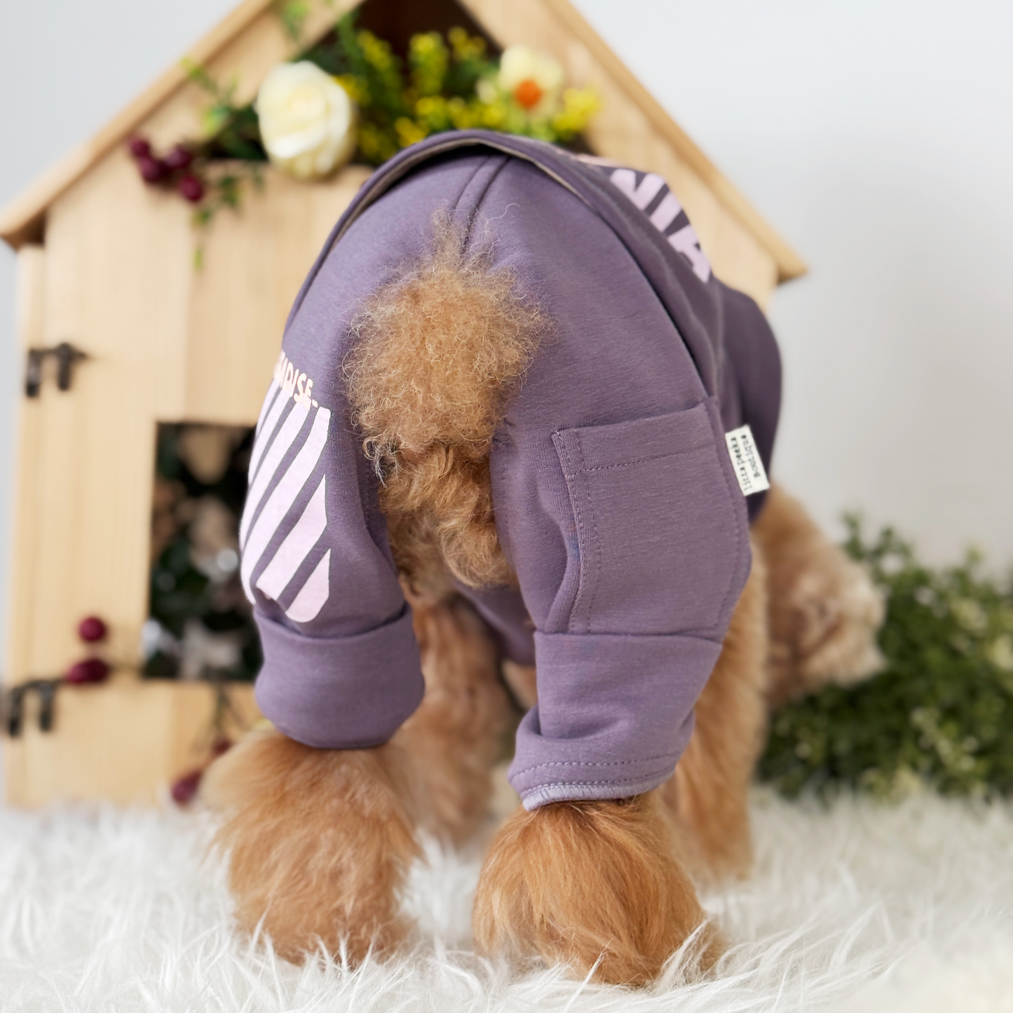 Cali Hoodie Pants Two-Piece Set