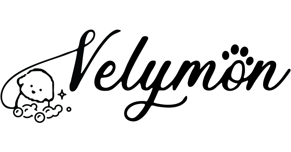 Velymon Singapore
– Velymon Pte Ltd