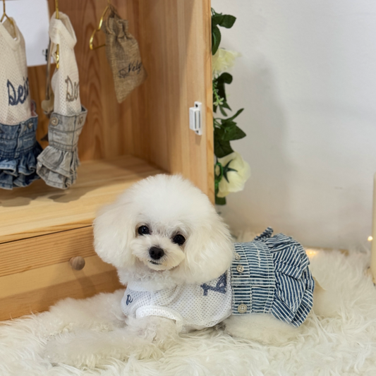 Loti (cream Teacup Poodle) wearing the Hickory-Strip Denim Skirt Two-Piece Set (Available in other designs) sold at Velymon SG