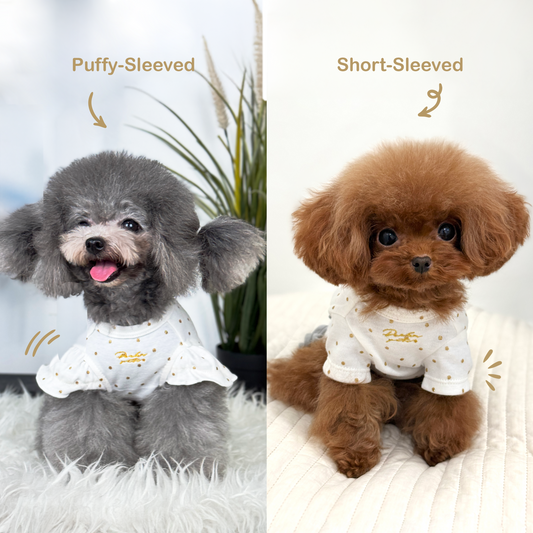 Two dogs, Luna (Silver Teacup Poodle) and Lilo (Red Micro Teacup Poodle) wearing puffy-sleeved and short-sleeved dog clothes from Velymon sg.