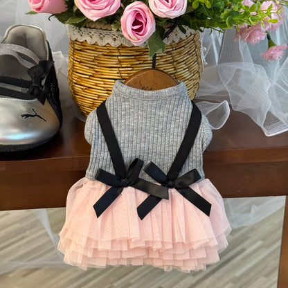 Blush Ballet Dress