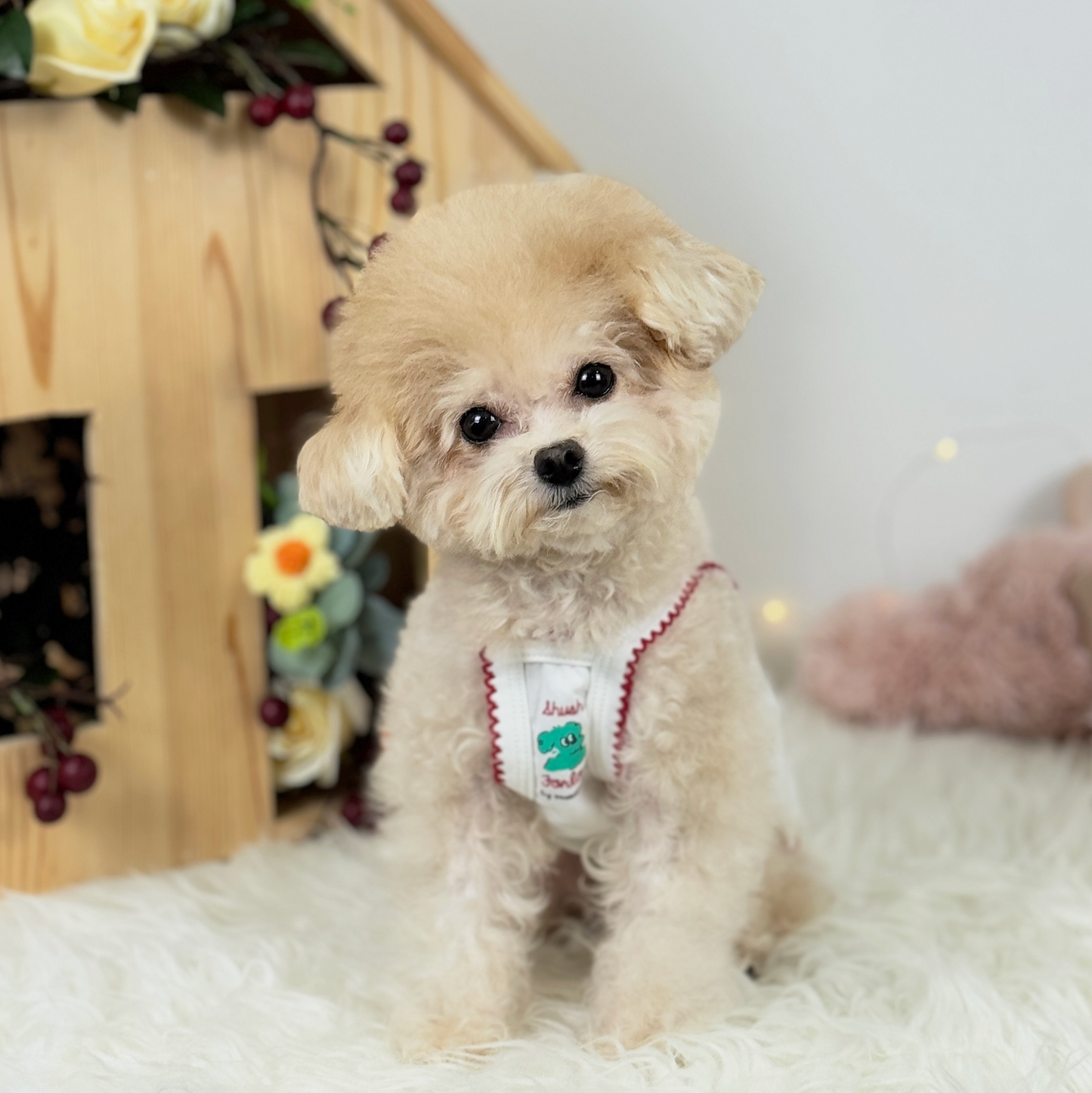 520 Chingu Top (White)