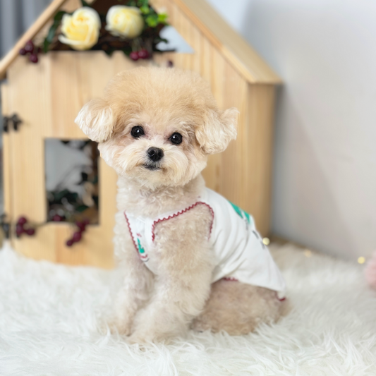 520 Chingu Top (White)