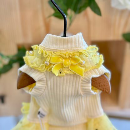 La Belle Lumière Tutu