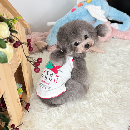 520 Chingu Top (White)