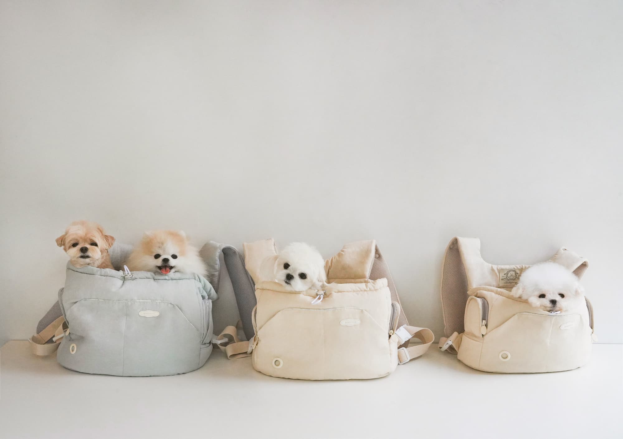 Bebe Front-Carry Pet Carrier