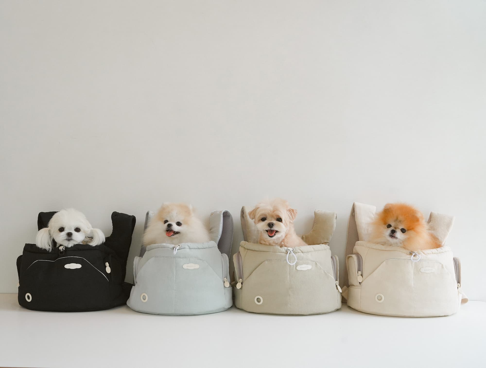 Bebe Front-Carry Pet Carrier