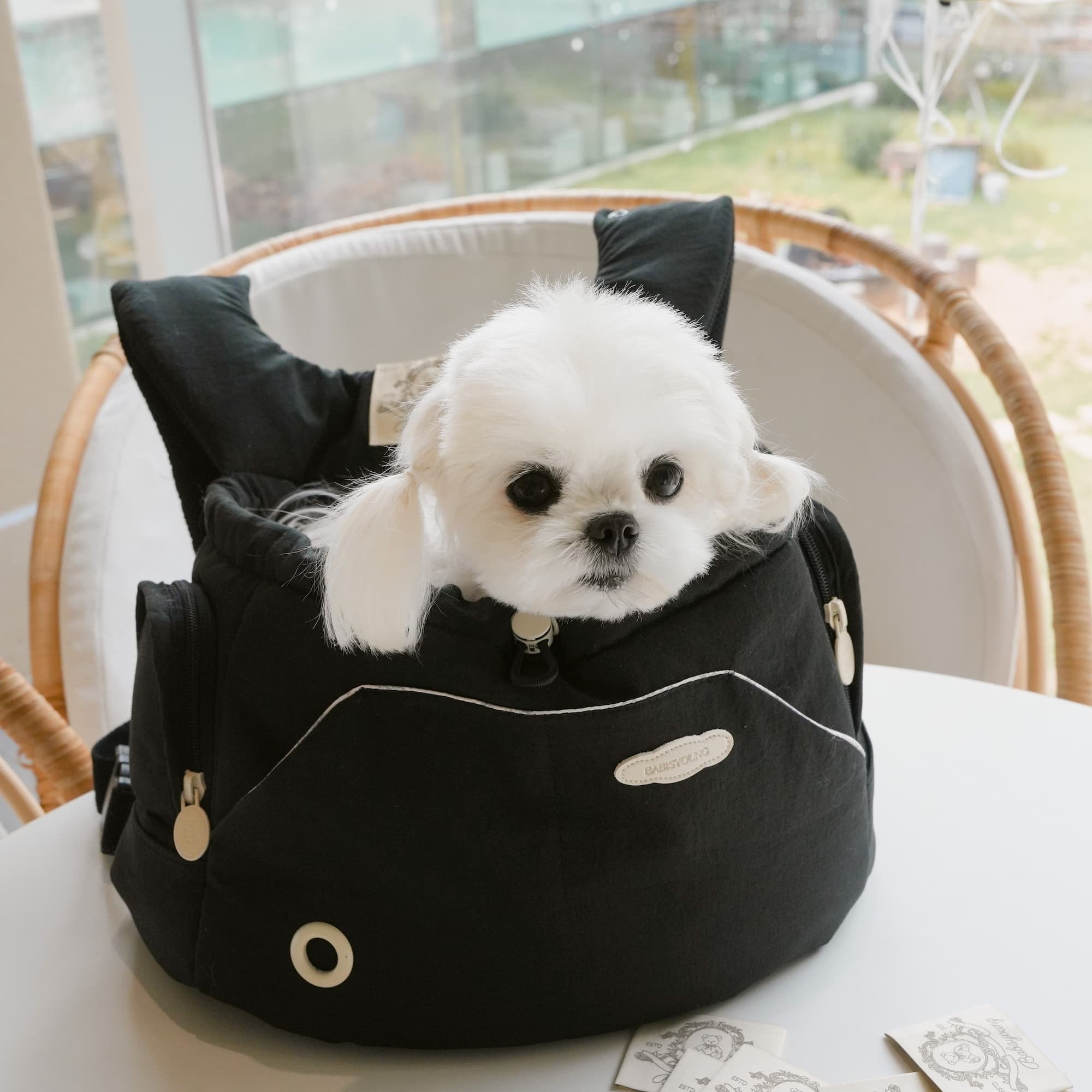 Bebe Front-Carry Pet Carrier