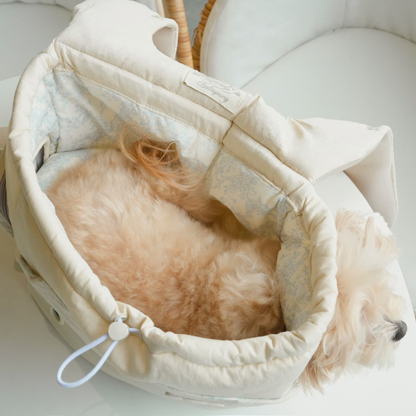 Bebe Front-Carry Pet Carrier
