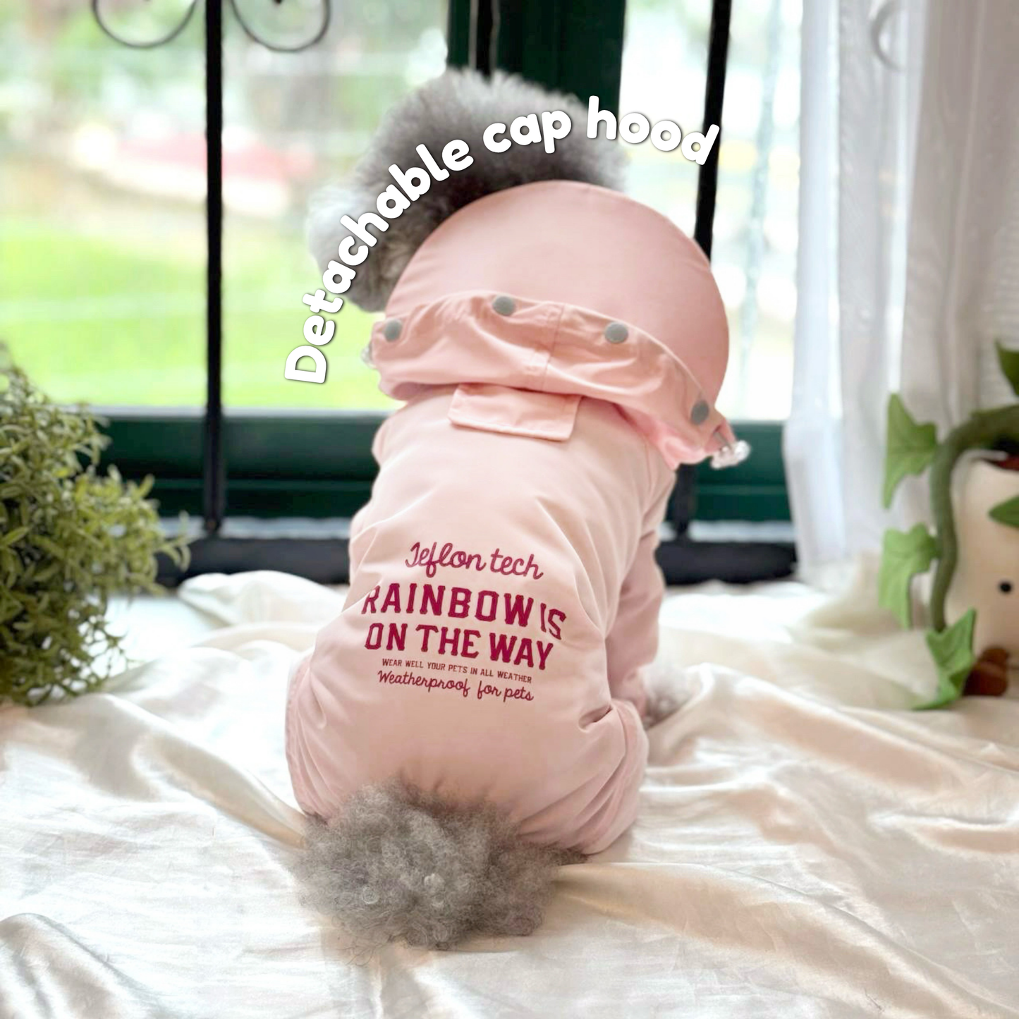 Pitter Paw Raincoat
