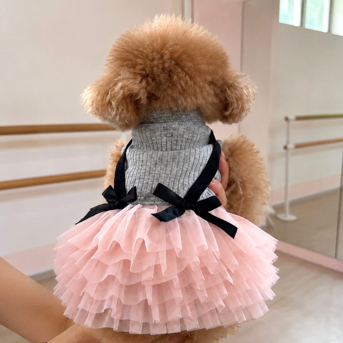 Blush Ballet Dress