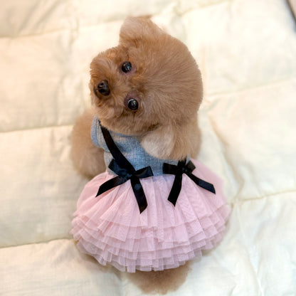 Blush Ballet Dress