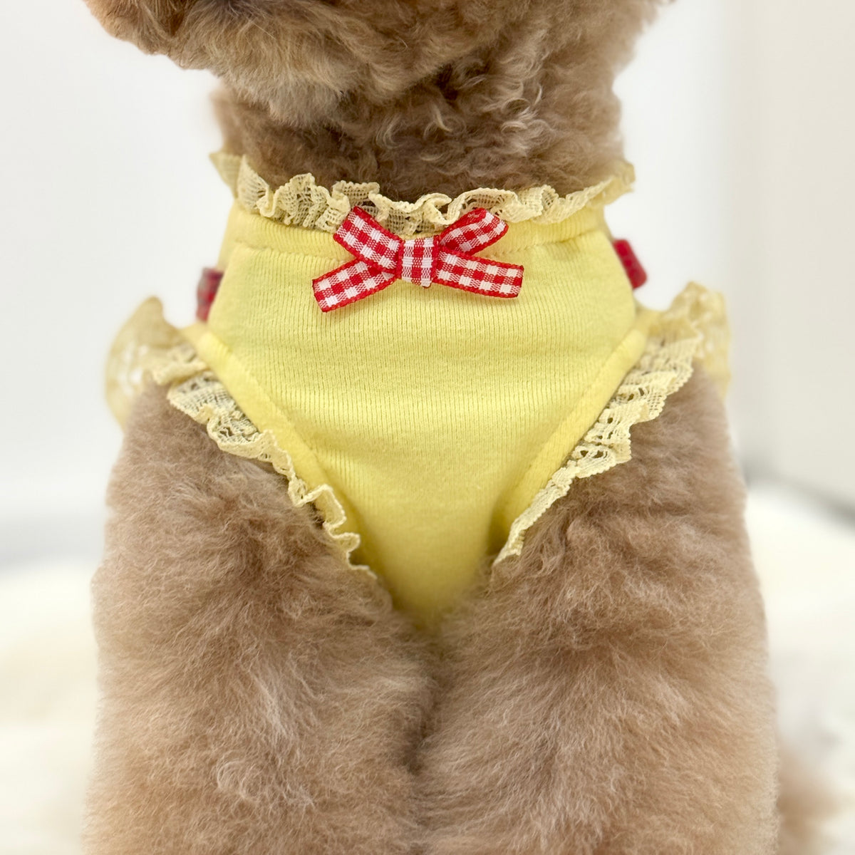 Ddalgi Daisy Dress