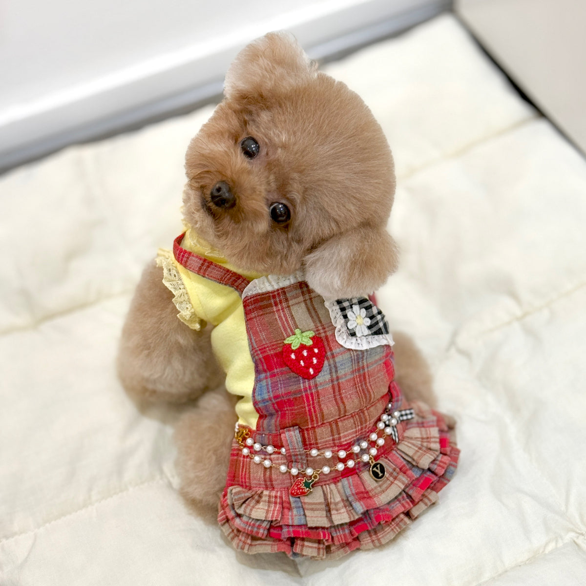 Ddalgi Daisy Dress