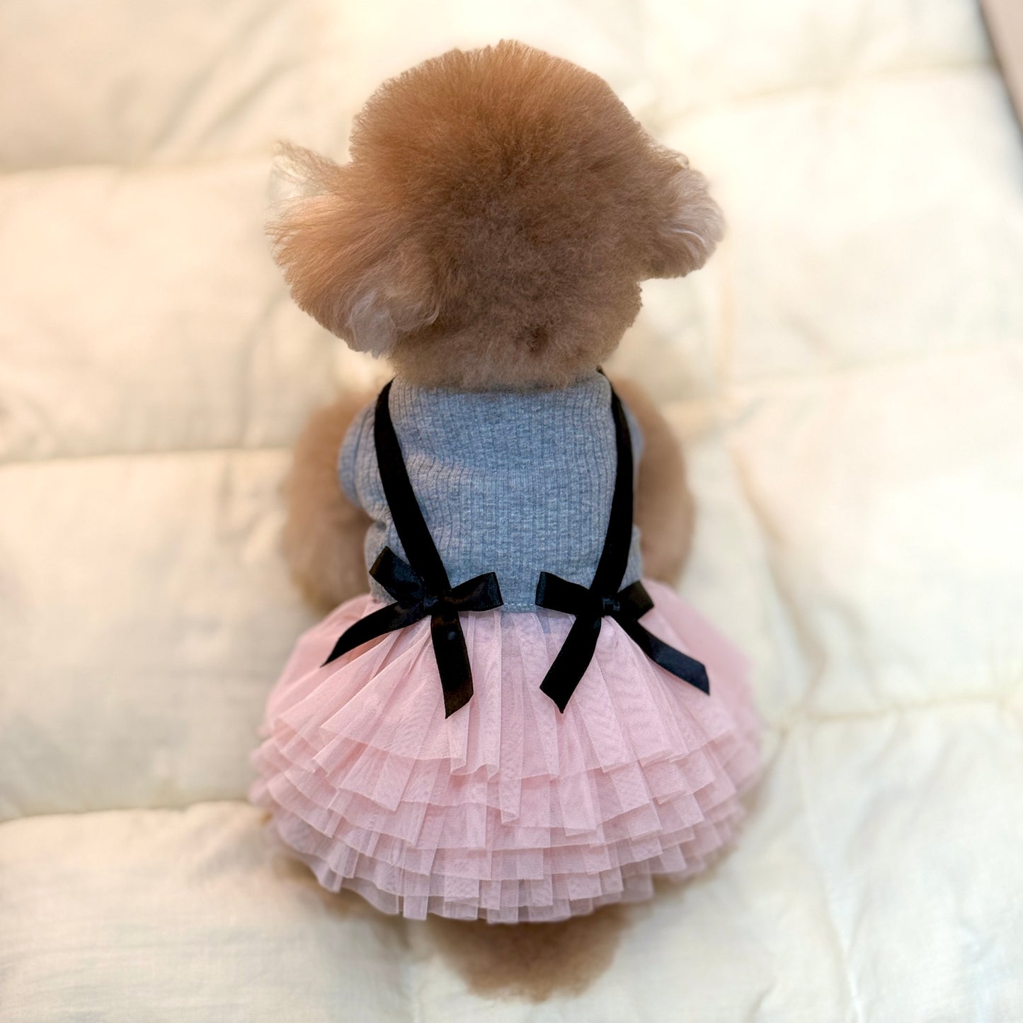Blush Ballet Dress