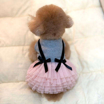 Blush Ballet Dress