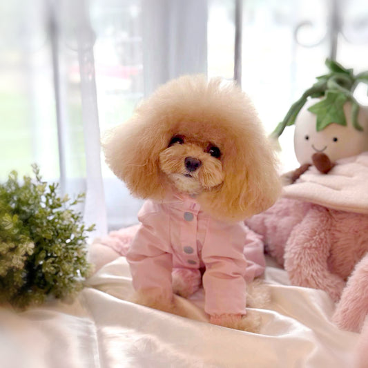 Pitter Paw Raincoat