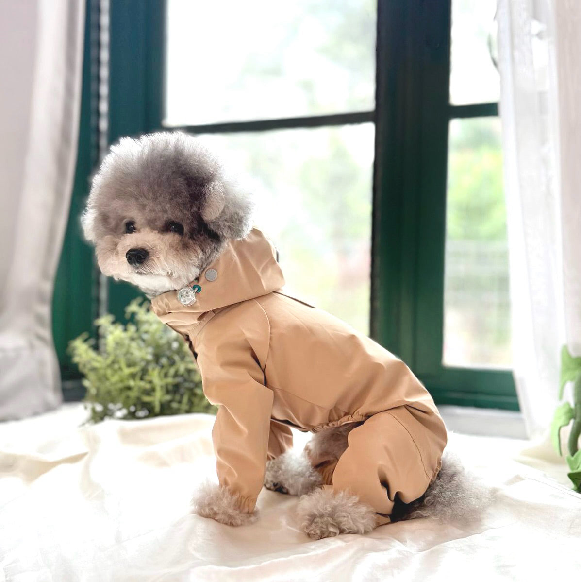 Pitter Paw Raincoat