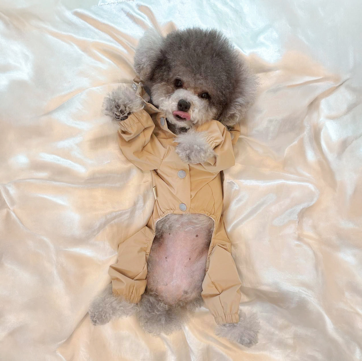 Pitter Paw Raincoat