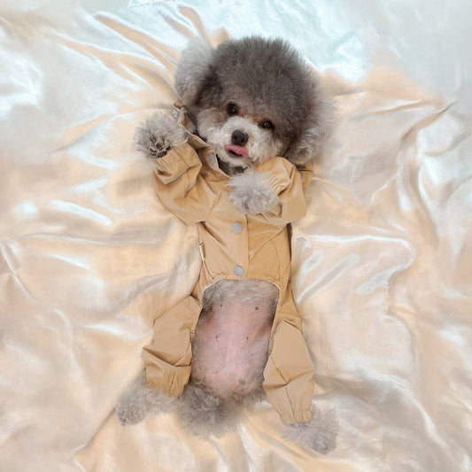 Pitter Paw Raincoat