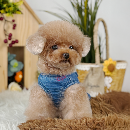 Fairybell Denim Harness Dress