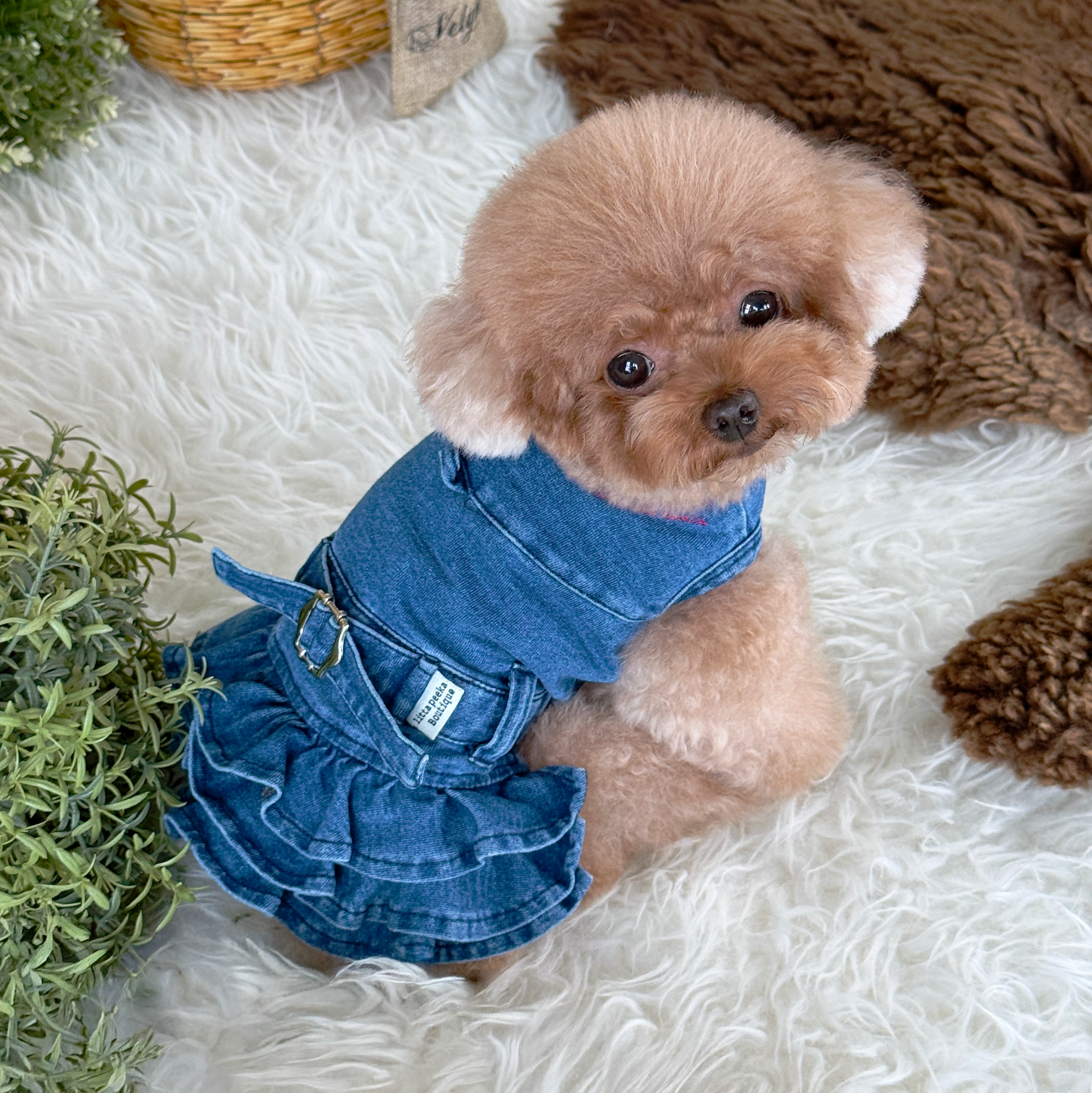 Fairybell Denim Harness Dress