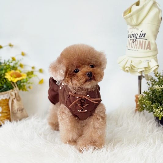 Cali Hoodie Dress Two-Piece Set