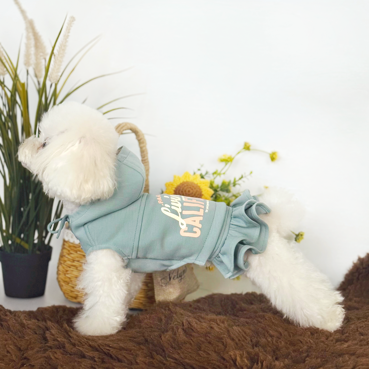 Cali Hoodie Dress Two-Piece Set