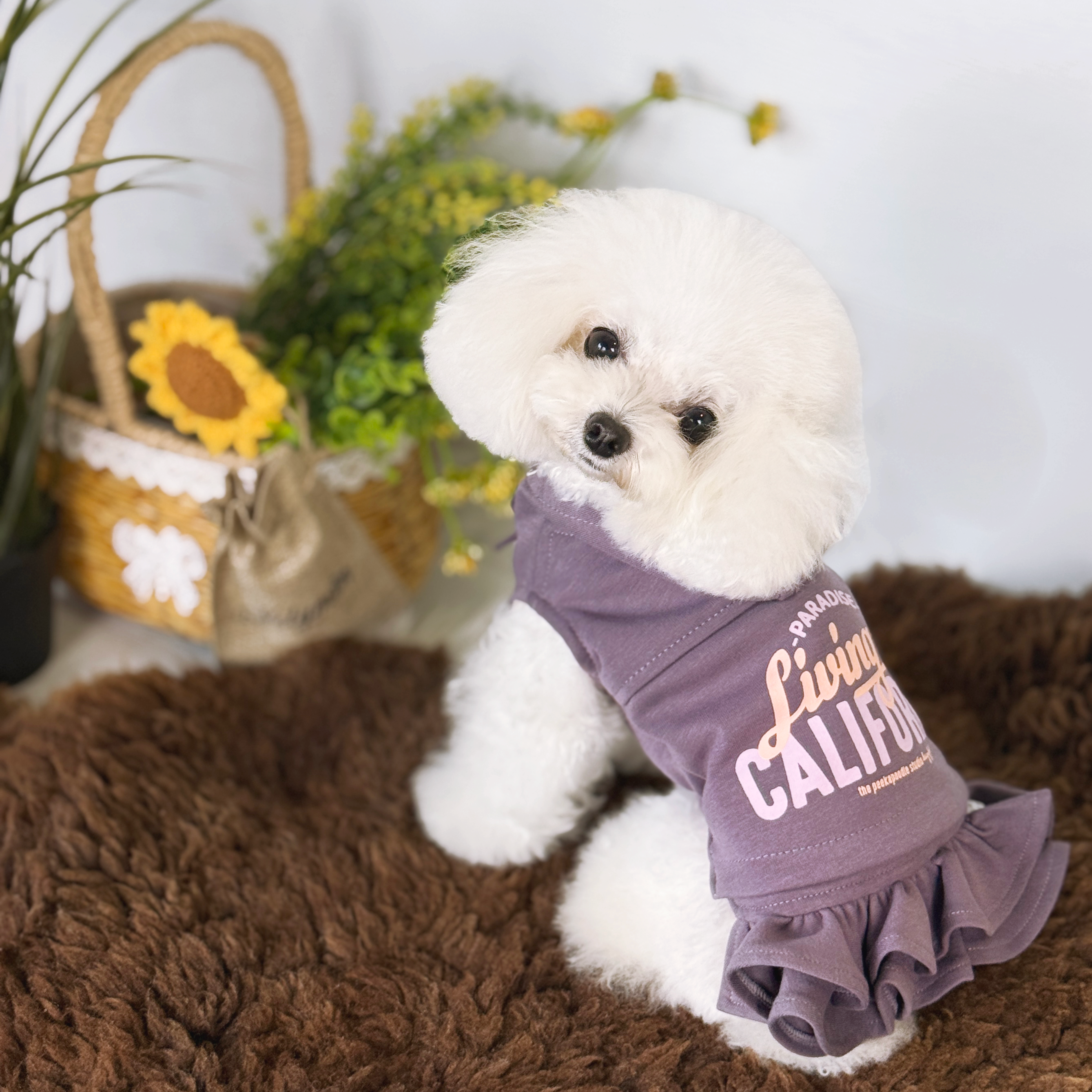 Cali Hoodie Dress Two-Piece Set