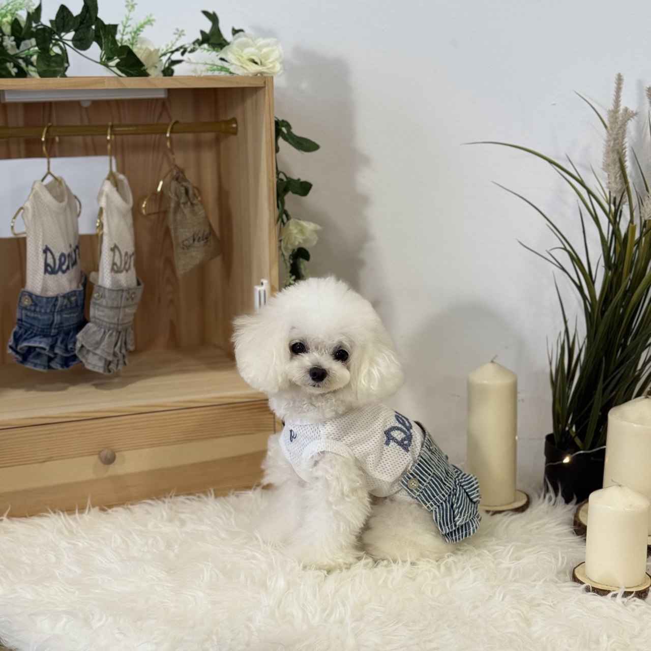 Hickory Stripe Denim Skirt Two-Piece Set