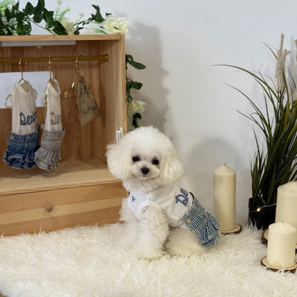 Hickory Stripe Denim Skirt Two-Piece Set