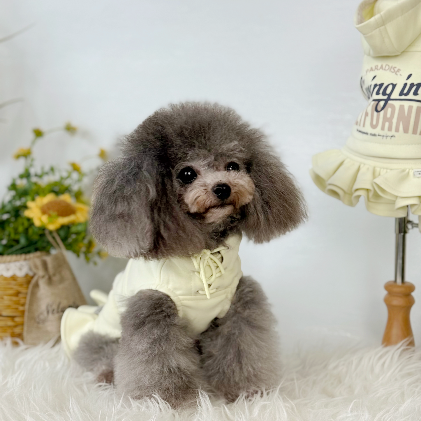 Cali Hoodie Dress Two-Piece Set