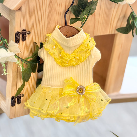 La Belle Lumière Tutu
