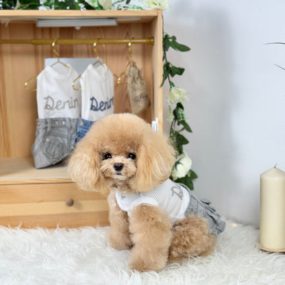 Light-Grey Denim Skirt Two-Piece Set