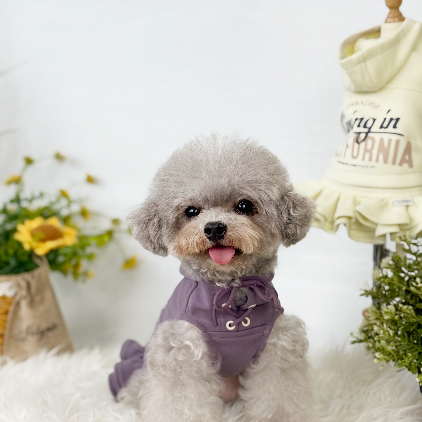 Cali Hoodie Dress Two-Piece Set