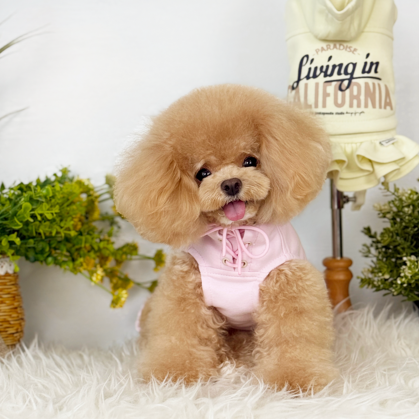 Cali Hoodie Dress Two-Piece Set