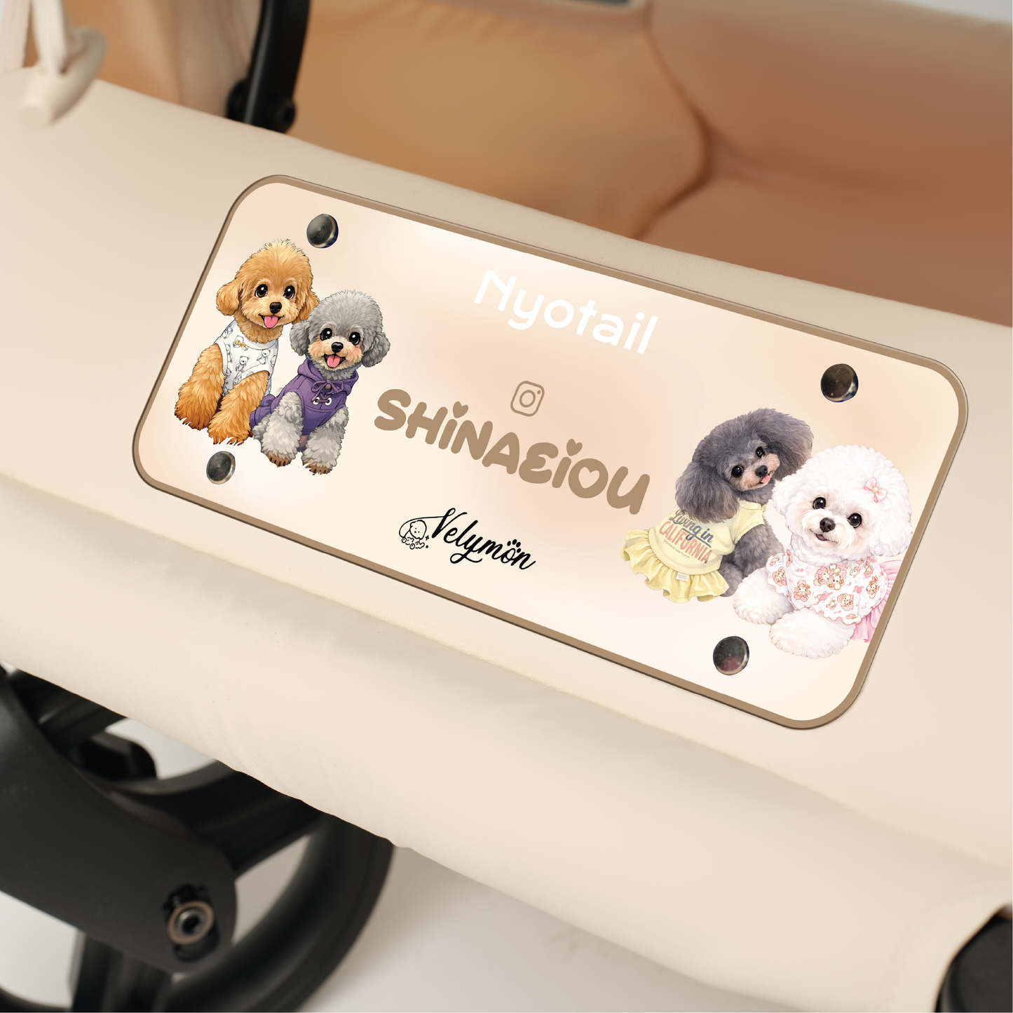Stroller Carplate