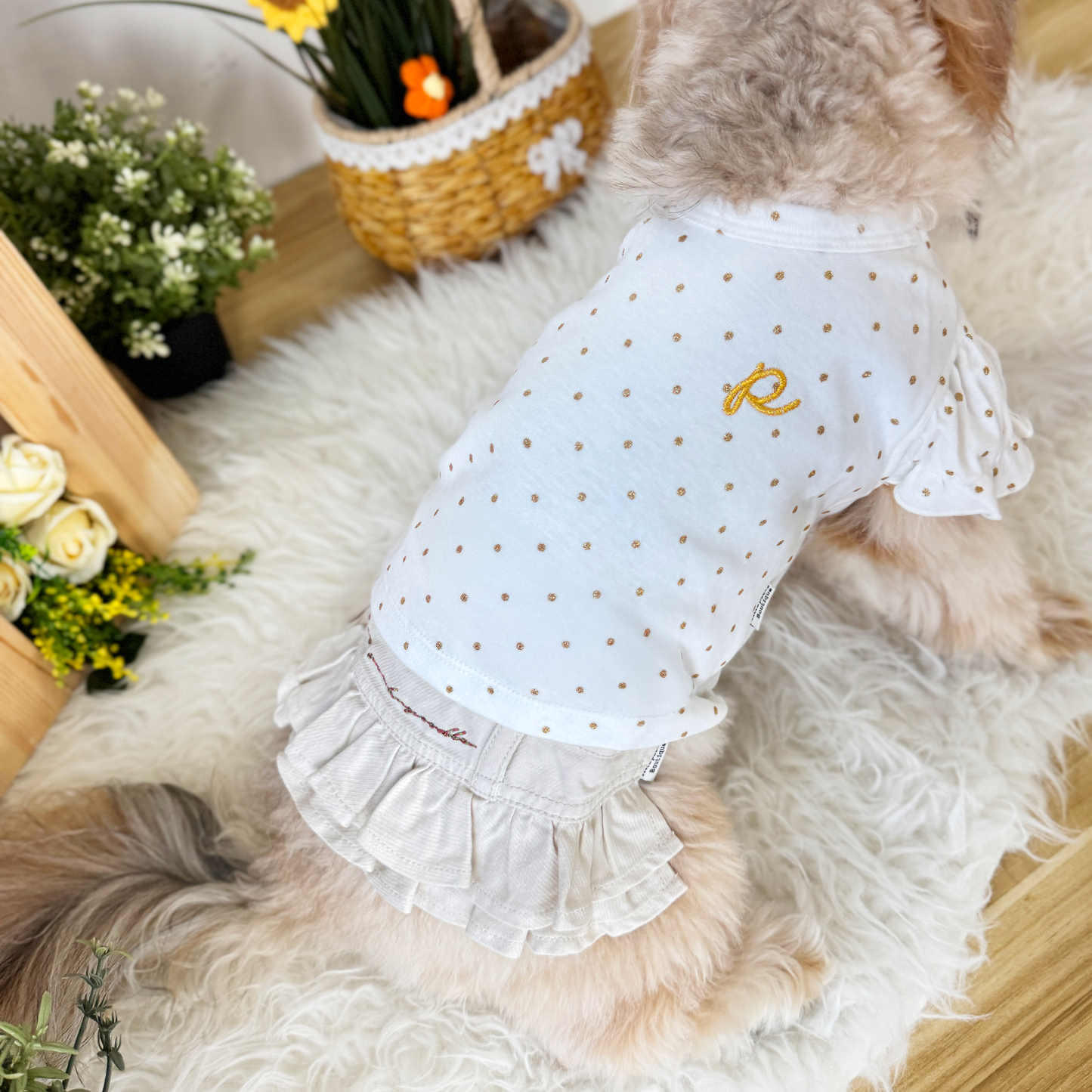 Pawfect Day Mini Skirt