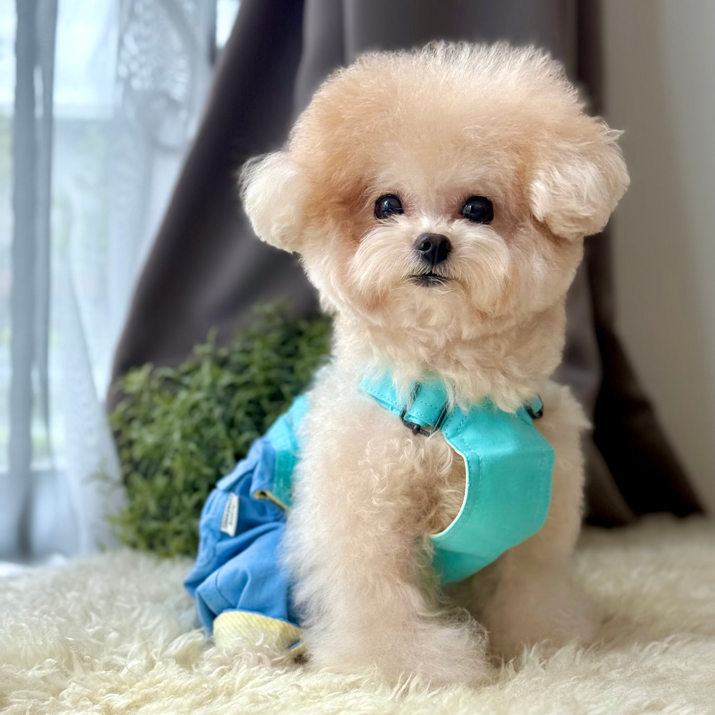 Pawsicle Dungaree Jumpsuit