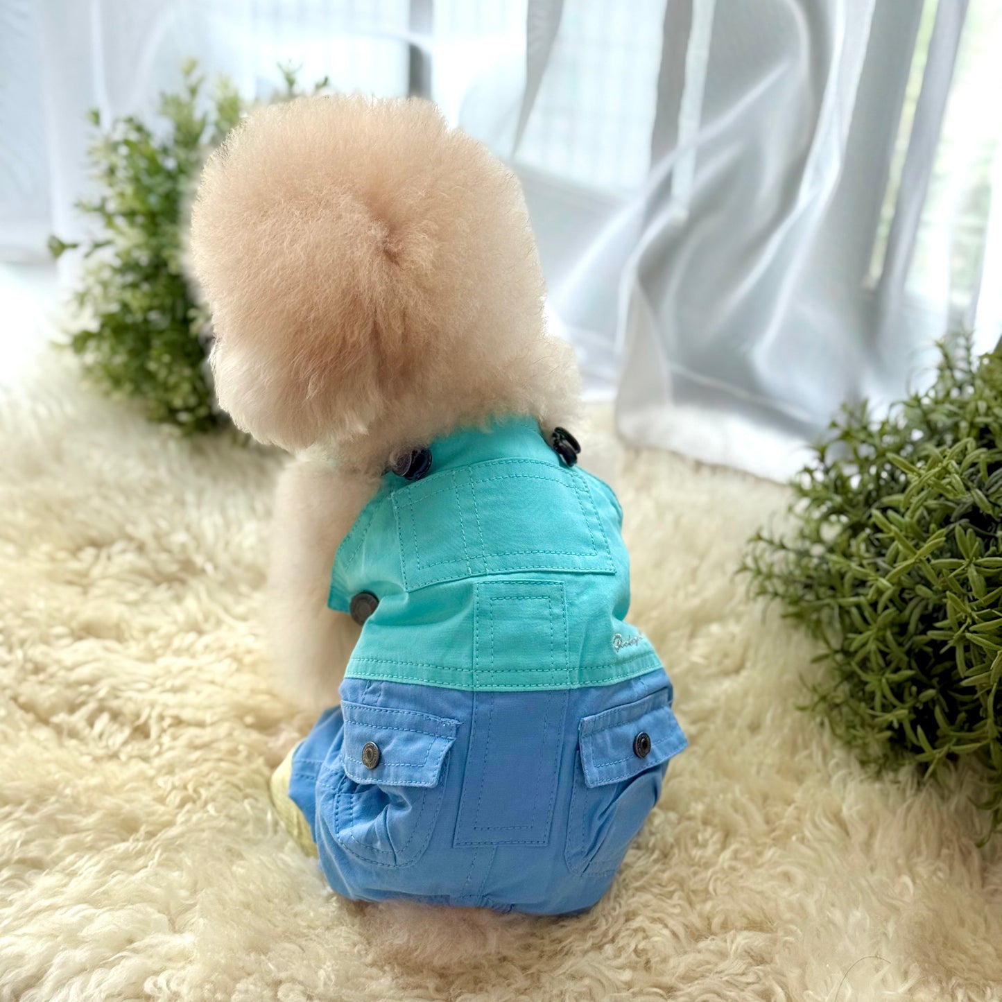 Pawsicle Dungaree Jumpsuit