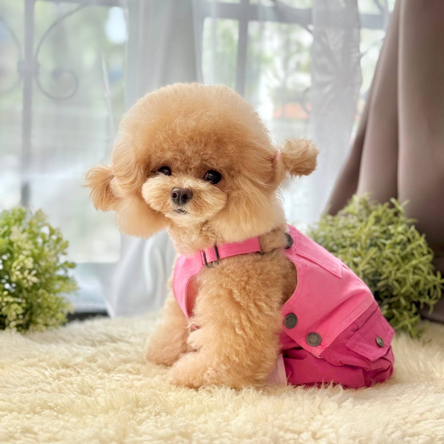 Pawsicle Dungaree Jumpsuit