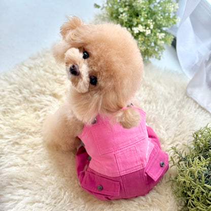 Pawsicle Dungaree Jumpsuit